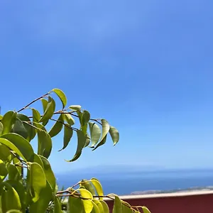 Narancsvirag , Tejina de Isora Spagna